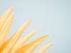Several Reasons to Eat Healthily: Basic Diet Recipes