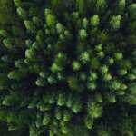 Beautiful Nature Footage Taken via Drones at Various Locations